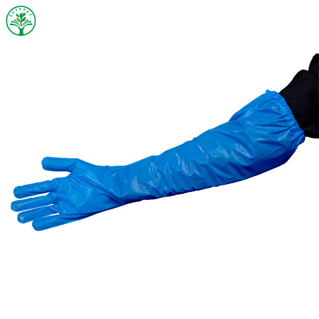 Blue CPE Elbow Length Glove With Elastic Band