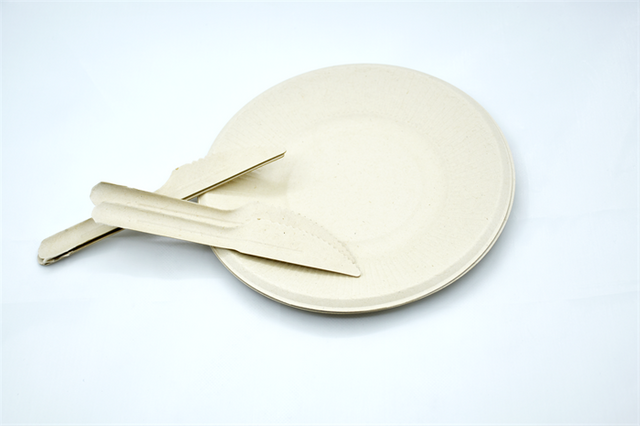 Degradable Paper Plates