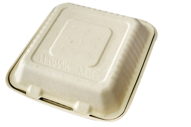 Sugarcane Pulp Takeout Box