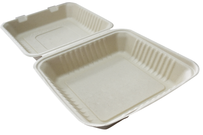 Sugarcane Pulp Takeout Box