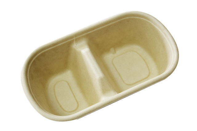 Biodegradable Lunch Box