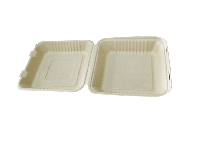 Sugarcane Pulp Takeout Box