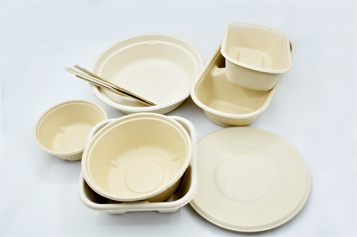 Degradable Paper Plates