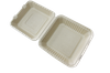 Sugarcane Pulp Takeout Box