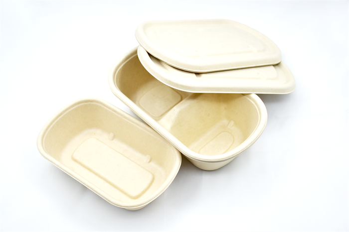 Biodegradable Lunch Box